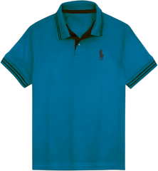 POLO T SHIRT BLUE