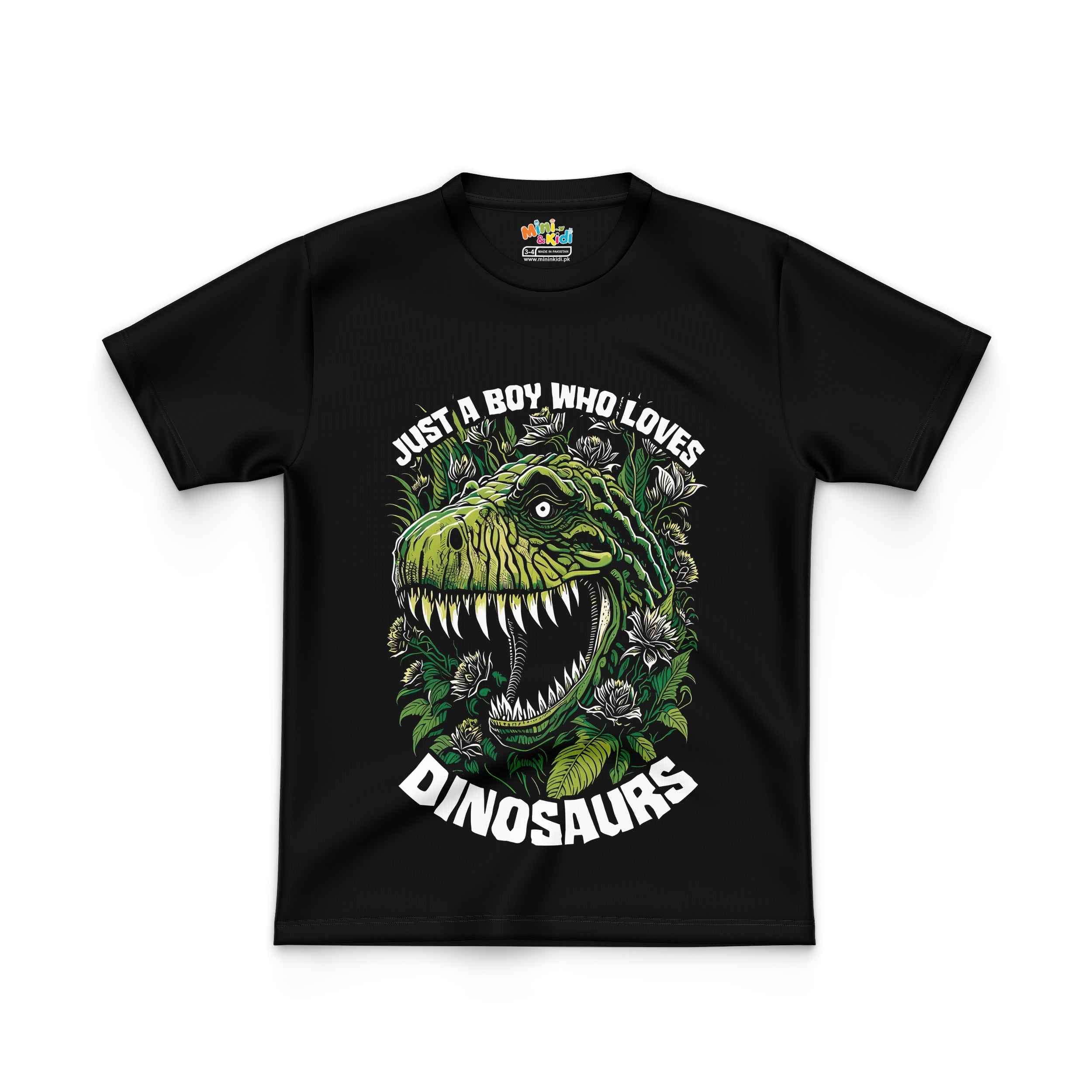 Just a boy who loves dinosaurs