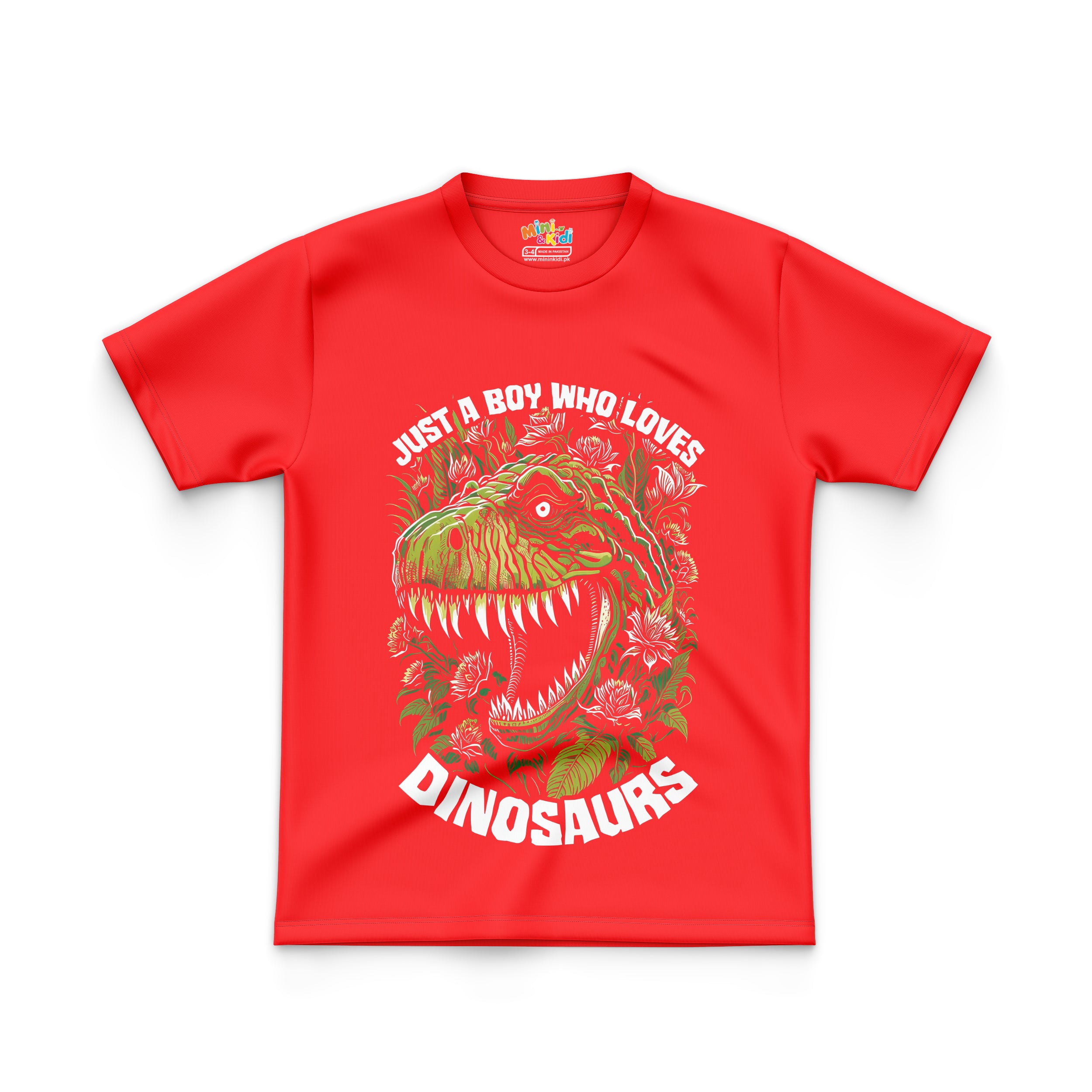 Just a boy who loves dinosaurs