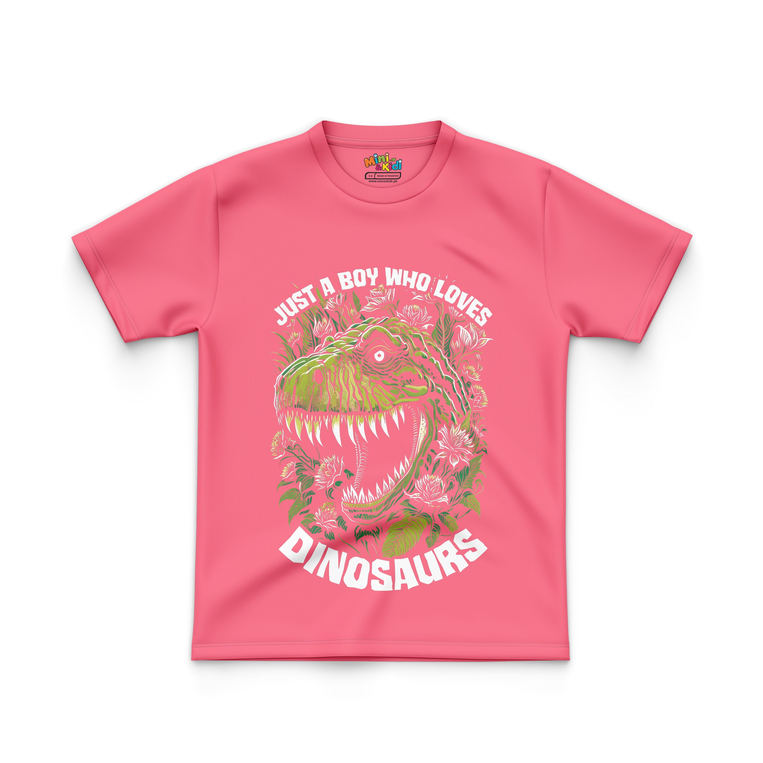 Just a boy who loves dinosaurs