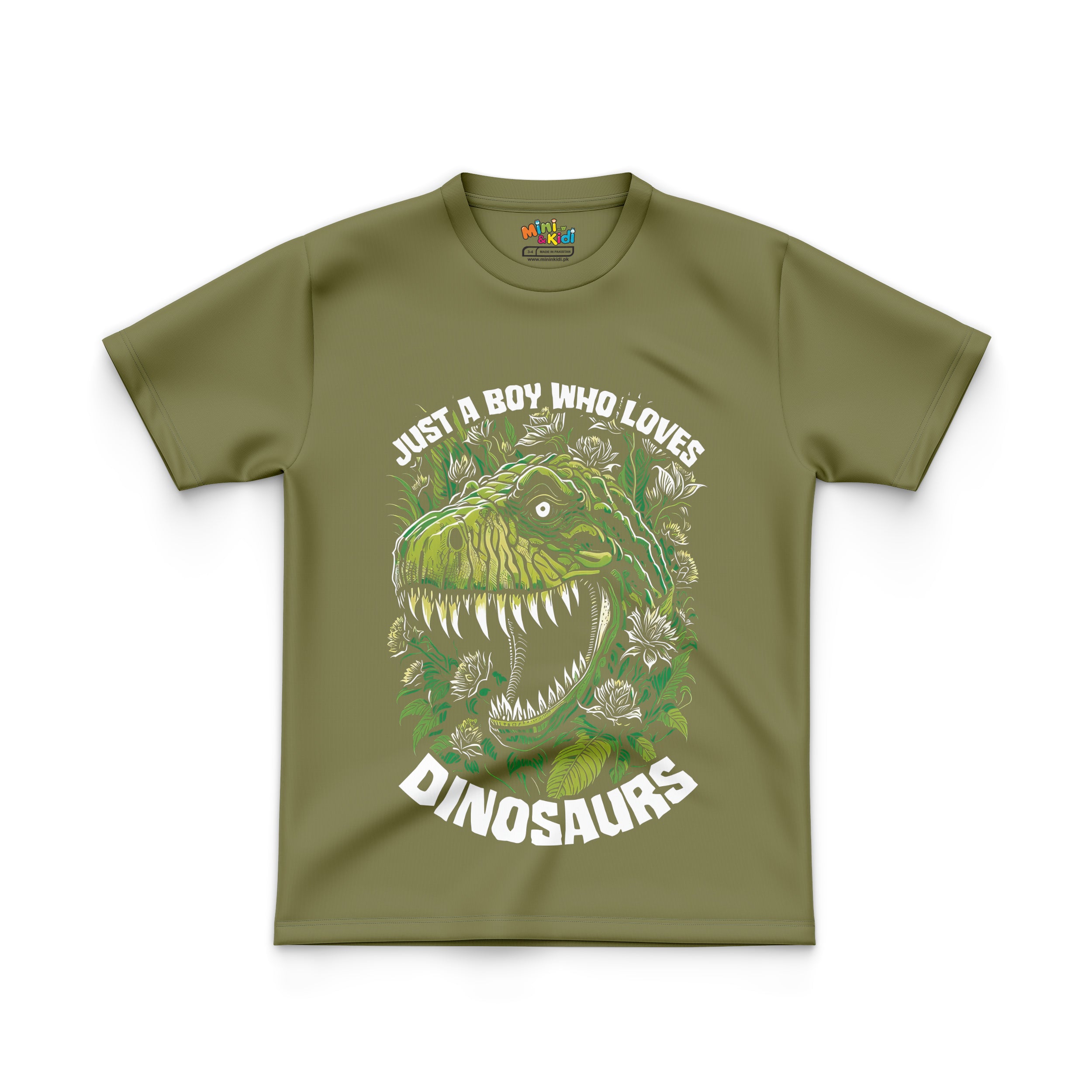 Just a boy who loves dinosaurs