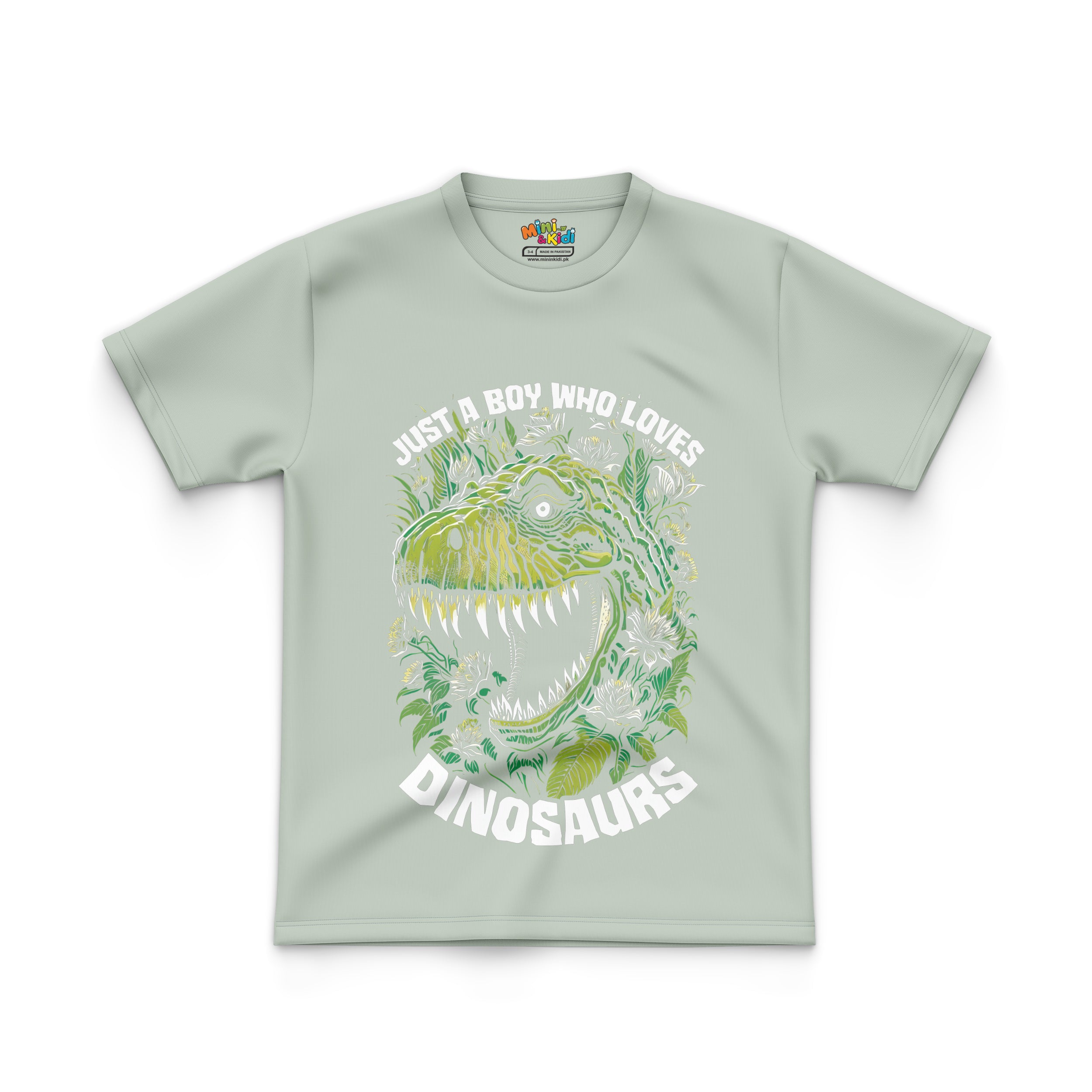 Just a boy who loves dinosaurs